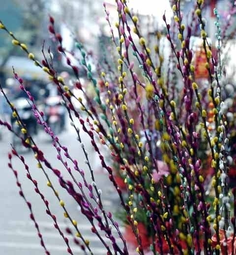 Bâng khuâng chợt nhớ câu thơ: “Nụ tầm xuân nở ra xanh biếc; Em lấy chồng anh tiếc lắm thay.