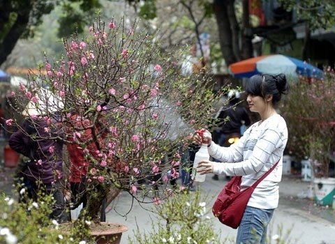 Cô bán hàng duyên dáng níu giữ “xuân” cho đời.