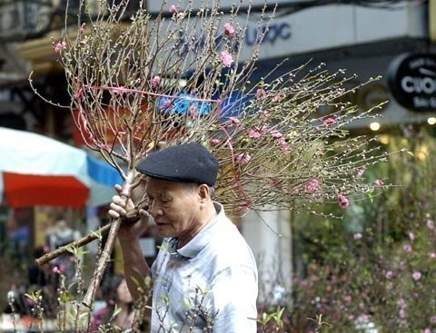 Một cụ già trò chuyện với người bán hàng sau khi mua được cành đào ưng ý.