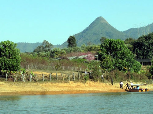 Ngắm hoa Anh Đào nở ở Mường Phăng - 8 http://nld.vcmedia.vn/S5KKUQrkCvT6Eb8lVn0QdkQXCW1U7p/Image/2013/02/hoadao6_e5b49.jpg