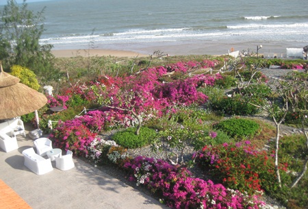 Khu vườn hoa bãi biển Long Hải hút khách du lịch - 3 PV