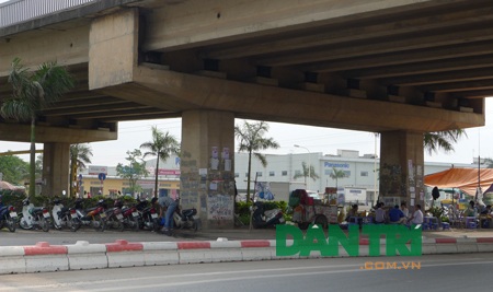Một phần lớn diện tích gầm cầu bị biến thành nhà ở, nơi chăn nuôi gia súc