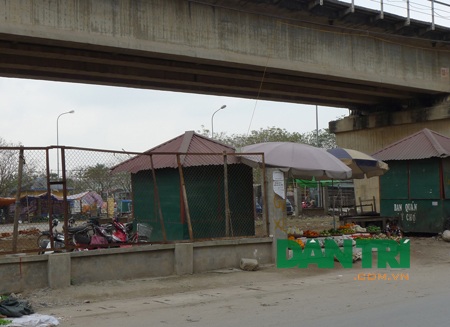 Một phần lớn diện tích gầm cầu bị biến thành nhà ở, nơi chăn nuôi gia súc