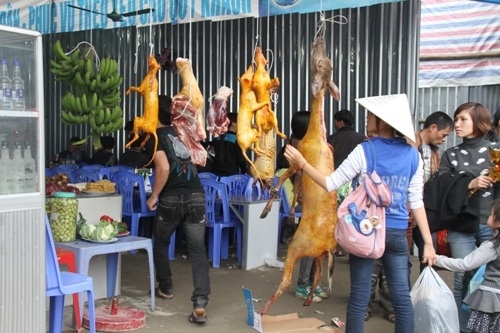 Và cả trò bài bạc cũng được tụ tập trên xuồng chở khách ở suối Yến