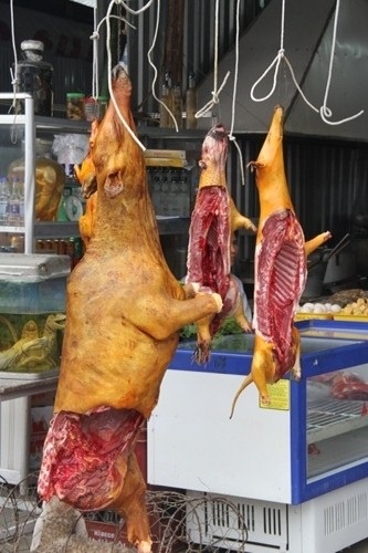 Và cả trò bài bạc cũng được tụ tập trên xuồng chở khách ở suối Yến