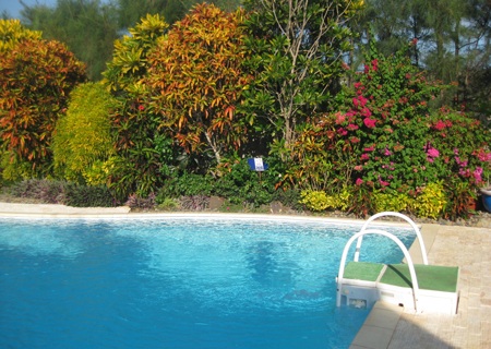 Khu vườn hoa bãi biển Long Hải hút khách du lịch - 5 PV