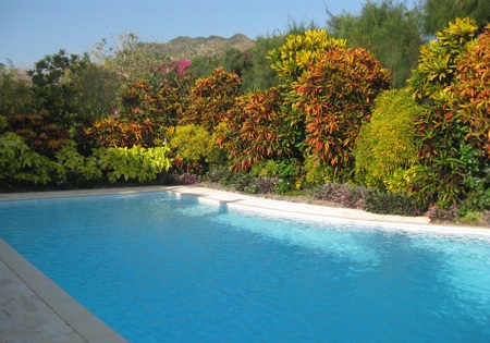 Khu vườn hoa bãi biển Long Hải hút khách du lịch - 7 PV