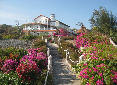 Khu vườn hoa bãi biển Long Hải hút khách du lịch - 2 Mô hình trồng hoa, cây xanh, kết hợp biệt thự sớm mang lại hiệu quả bất ngờ