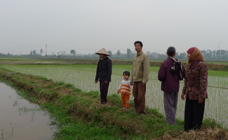 Người dân mong muốn giữ nguyên phần diện tích 10% ở đồng Xa