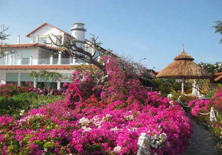 Khu vườn hoa bãi biển Long Hải hút khách du lịch - 1 Mô hình trồng hoa, cây xanh, kết hợp biệt thự sớm mang lại hiệu quả bất ngờ