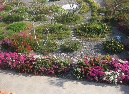 Khu vườn hoa bãi biển Long Hải hút khách du lịch - 8 PV