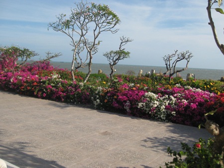 Khu vườn hoa bãi biển Long Hải hút khách du lịch - 9 PV