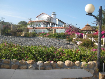 Khu vườn hoa bãi biển Long Hải hút khách du lịch - 10 PV