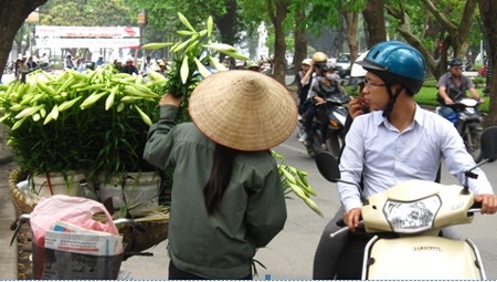 Hoa loa kèn gọi tháng Tư về... - 2 Tháng Tư về - những con phố ngập tràn sắc trắng của hoa loa kèn….