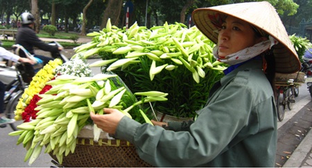 Hoa loa kèn gọi tháng Tư về... - 6 Nguyễn Loan