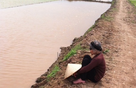 Nông dân cụm 4 thôn Cống Xuyên bức xúc vì những quyết định mập mờ của UBND xã Nghiêm Xuyên