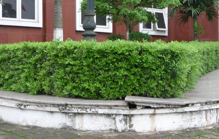 Móng tường trụ sở Quận ủy Hoàng Mai bị sụt lún nghiêm trọng thời gian qua