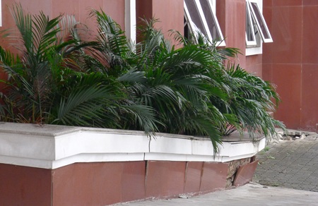 Tình trạng xuống cấp khiến UBND quận Hoàng Mai nhếch nhác trong mắt người dân