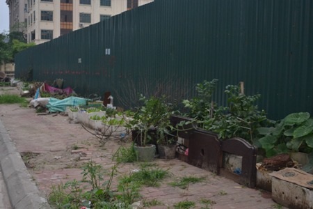 Dùng bao tải và phế liệu xây dựng làm hàng rào trồng rau