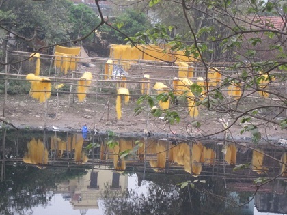 Hàng tấn miến ở làng Cự Đà được phơi hai bên bờ dòng sông Nhuệ nước đen kịt mỗi ngày