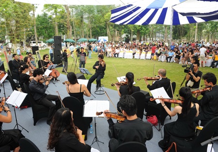 Hòa nhạc Luala: Không có sao vẫn hút khán giả - 8 Các nghệ sỹ đàn dây đã rất quen thuộc với công chúng yêu nhạc từ những mùa Luala concert trước