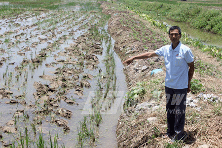 Anh Nguyễn Văn Sơn chỉ nơi ông Quý bị đánh trọng thương