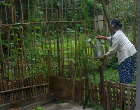 Đường đi chung của khu dân cư ngang nhiên bị biến thành vườn rau