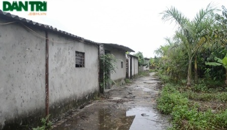 Hủy bỏ quyết định trái pháp luật của UBND quận Hoàng Mai - 5 Bà Vũ Thị Bền đã bỏ ra hàng chục tỷ đồng đầu tư trang trại