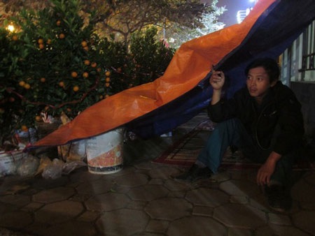 Anh Dũng, quê ở Văn Giang, Hưng Yên canh số quất đưa từ quê lên Hà Nội bán Ảnh: LÊ HIỀN HẬU