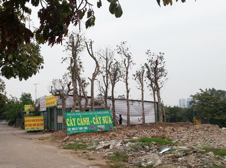 Đất thuộc dự án Công viên - Hồ điều hòa trở thành sân tenis, bãi xe khách, trưng bày xe ôtô