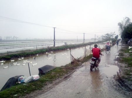 "Chặt chém" chế độ người nghèo, chính quyền lập "quỹ đen" tiền tỷ - 3 Người dân xã Châu Giang đề nghị cơ quan chức năng làm rõ vi phạm trong công tác dồn điền, đổi thửa