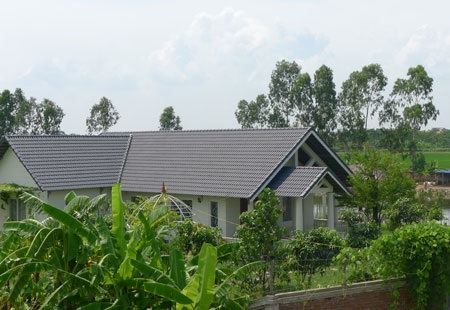 Những khu biệt thự tồn tại hiên ngang trên đất V.A.C mà không bị xử lý