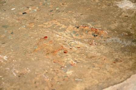 Vết máu vẫn còn đọng lại trước số nhà 538/16