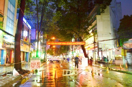 Đường Trần Quang Khải bị phong tỏa vì cây xanh chẻ đôi có nguy cơ gãy đổ