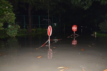 Ô tô cũng chung số phận