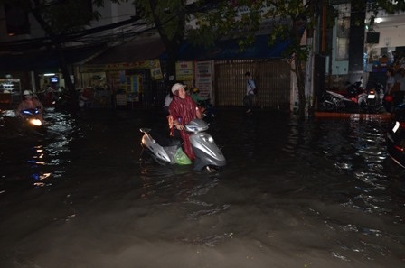 Nhiều phương tiện chết máy