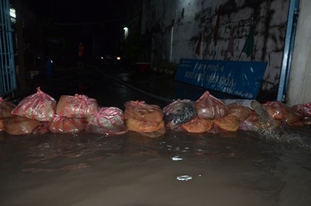 Đắp đê giữa phố