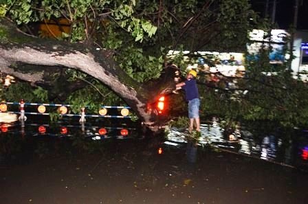 Nhân viên Công ty Công viên cây xanh TPHCM khắc phụ sự cố