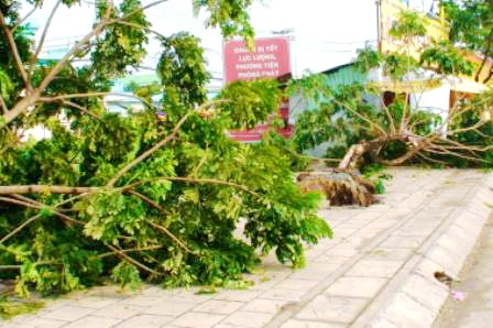 Nhiều ngôi nhà bị tốc mái khiến đồ đạt vật dụng bị hư hỏng ở huyện Bình Chánh.