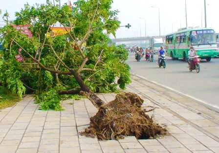Giao thông kẹt cứng