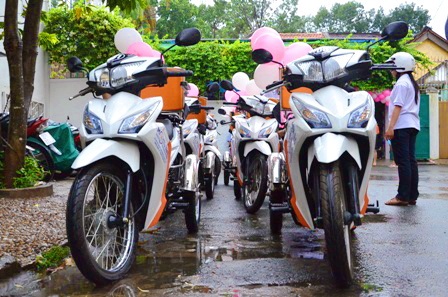 10 chiếc xe được sắp xếp ngay ngắn