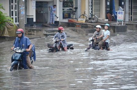 Hàng loạt xe bị chết máy