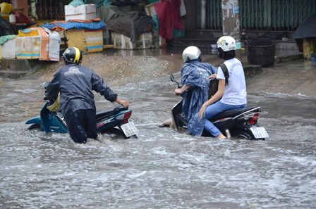 Hàng loạt xe bị chết máy