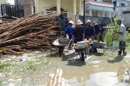 Cừ tràm dùng để gia cố lại khu vực đê