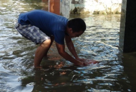 Một người dân bắt được cá ngay trong nhà mình