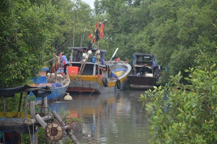 Neo đậu kiên cố