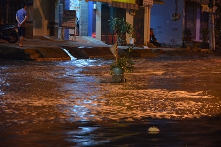 Người dân dùng cây xanh để cảnh báo cho người đi đường