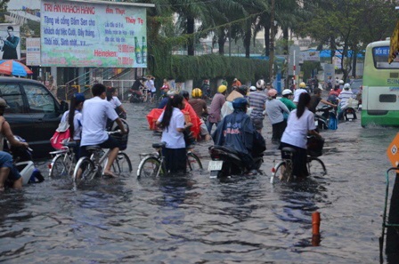 Hàng loạt phương tiện chết máy phải dẫn bộ
