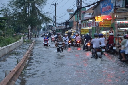 Nhiều công ty đắp đê chống nước tràn vào trong.