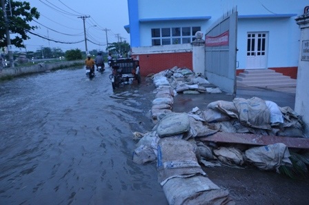 Nhiều công ty đắp đê chống nước tràn vào trong.